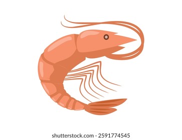 Fresh whole shrimp. Simple flat illustration.