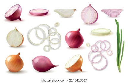 Fresh whole sliced red and yellow onion realistic set isolated against white background vector illustration