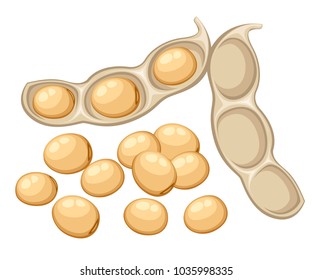 Fresh whole soybean vegetable from the garden organic food open bean pod vector illustration isolated on white background web site page and mobile app design