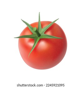 Fresh whole tomato against white background realistic vector illustration