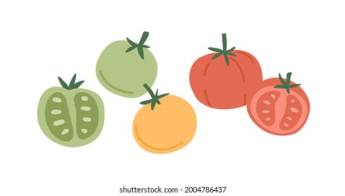 Fresh whole tomato vegetables and their cut half pieces of different color. Red, green and yellow veggies composition. Healthy natural food. Flat vector illustration isolated on white background