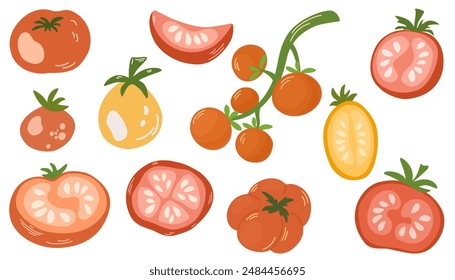 Fresh whole tomato vegetables and their cut half pieces of different color. Red, green and yellow veggies composition. Healthy natural food. Flat vector illustration isolated on white background