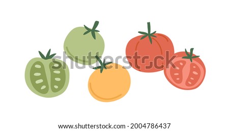Fresh whole tomato vegetables and their cut half pieces of different color. Red, green and yellow veggies composition. Healthy natural food. Flat vector illustration isolated on white background