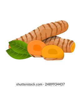 Fresh Whole Turmeric Rhizomes in Vector Design