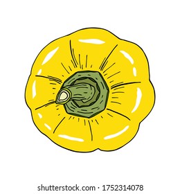 Fresh yellow bell pepper. Hand drawn vector vegetable illustration isolated on white background. Top view of capsicum. Tasty ingredient, topping, side dish. Vegetarian food drawing