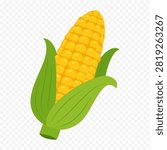 Fresh yellow corn on the cob vector graphic with green husk leaves isolated on transparent background clip art illustration