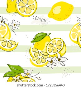 Fresh yellow fruits of lemon, lime, with green leaves and flowers. Seamless citrus texture on a white background. Whole lemon slice. Doodle Minimal Style. Black line. Vector illustration. Handwriting.