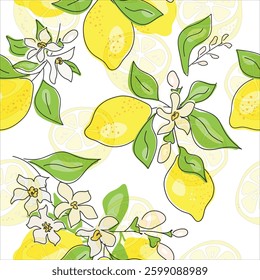 Fresh yellow fruits of lemon, lime, with green leaves and flowers. Seamless citrus texture on a white background. Whole lemon slice. Doodle Minimal Style. Black line. Vector illustration. Handwriting.