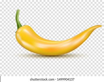 Fresh yellow hot chili pepper. Kitchen organic vector spicy taste chili mexican pepper,