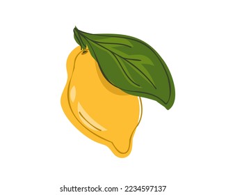 Frische gelbe Zitrone mit grünem Blatt. Vektorgrafik