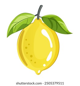 Fresh yellow lemon with green leaves. Organic Tropical citrus fruit for lemonade and juice. Concept of healthy with food vitamin C. Flat vector illustration isolated on white background