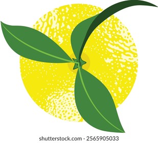 Fresh yellow lemon with leaves

