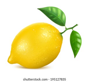 Fresh yellow lemon with leaves and water drops. Vector illustration.