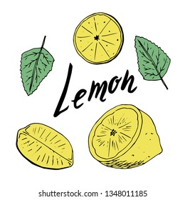 Fresh yellow lemons and mint leaves. Hand drawn sketch vector illustration on white background, design elements. Menu, doodle, sketch, set, Lettering delicious and fresh. design, t shirt, tea time