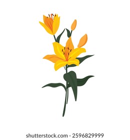 Fresh Yellow Lily Flowers, Radiant Springtime Garden Blooms