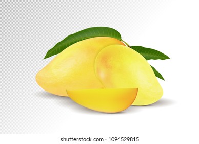 Fresh yellow Mango with slice Isolated On White Background. Vector 3d illustration