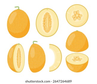 Ícones de fruta melão amarelo fresco definido. Melão inteiro maduro, metade e pedaços. Fruta orgânica para suco, smoothie ou vitamina de alimentos saudáveis. Ilustração de ícones de vetor isolada em fundo branco.