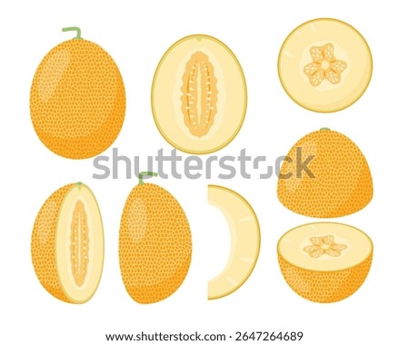 Fresh yellow Melon fruit icons set. Whole ripe melon, half and pieces. Organic fruit for juice, smoothie or vitamin healthy food. Vector icons illustration isolated on white background.