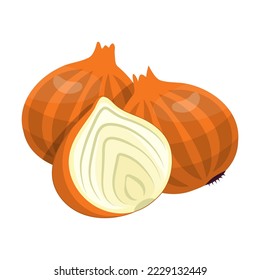 Fresh yellow onions vector. Whole onions cut into slices, whole ripe vegetables isolated on white background. Food, agriculture, nature concept