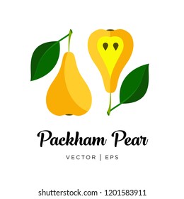 Fresh yellow packham pear, cut sliced, seeds, leaf and steam, vector editable illustration. Flat simple style.