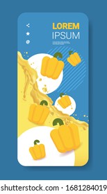 fresh yellow pepper juice liquid splash realistic splashes healthy vegetables splashing waves smartphone screen mobile app vertical copy space vector illustration