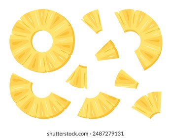 Fresh yellow Pineapple chunks, ring, pieces slice icon set. Healthy vegetarian snack, cut Pineapple for design. Sliced on pieces ananas. Hand drawn trendy flat style isolated Vector illustration