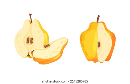 Fresh Yellow Quince Set. Juicy Ripe Fruit Vector Illustration