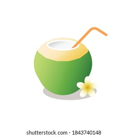 Fresh young coconut with straw. Realistic illustration. Summer element object.