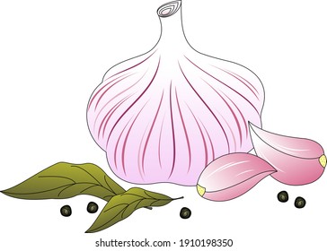 fresh young garlic with spices