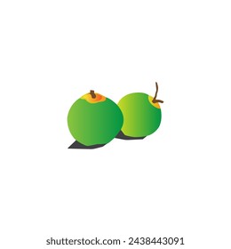 fresh young green coconut vector design logo template