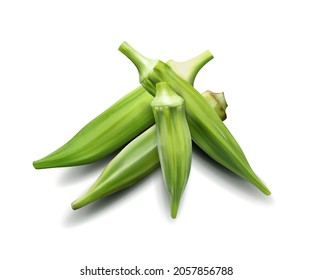 Fresh young okra isolated on white background. Quality realistic vector, 3d illustration