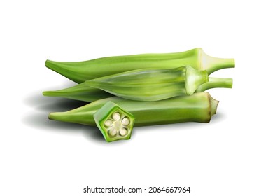 Fresh young okra isolated on white background. Quality realistic vector, 3d illustration