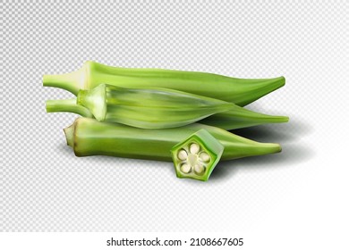 Fresh young okra isolated on transparent background. Quality realistic vector, 3d illustration