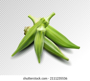 Fresh young okra isolated on transparent background. Quality realistic vector, 3d illustration