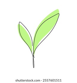 Fresh young sprout, juicy green tea leaf, contour, hand-drawn, isolated on a white background, vector. A botanical element for decoration, design, labels. Sketch the icon of a growing leaf in one line