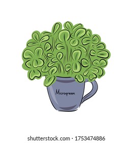 Fresh young sprouts various plants.  Microgreen healthy food. Vegetarian food. Stamp for packaging design. Vector illustration