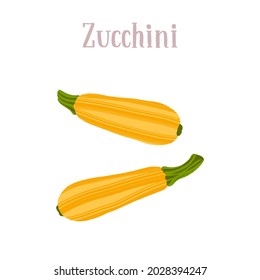 Fresh young yellow zucchini. Healthy nutrition product. Vector hand drawn flat isolated illustration with dry brush texture and hand written lettering for your design.