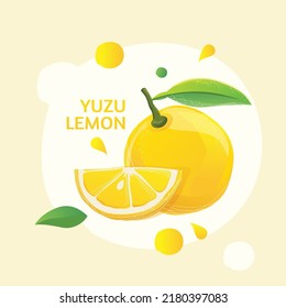 Fresh Yuzu Lemon Vector Illustration