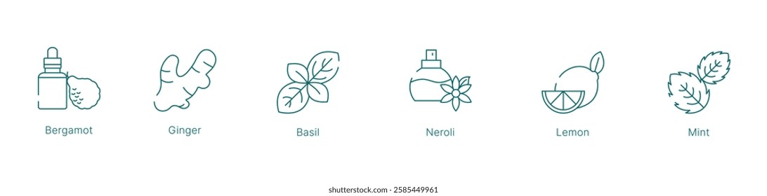 Fresh and Zesty Fragrance Notes Vector Icon Set