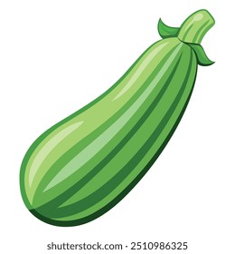 Fresh Zucchini Art, Vector, Icon and Graphic, Flat Vegetables Illustration Design On White Background