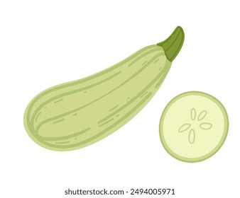 Fresh zucchini, depicted whole and sliced to show its green skin and white flesh. Suitable for garden produce features, healthy recipes, and nutritional content. Vector illustration isolated on white.