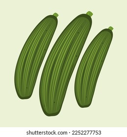 Fresh zucchini flat vector illustration. Cute fresh zucchini cartoon vector illustration for graphic design and decorative element