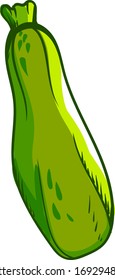 Zucchini fresco, ilustración, vector sobre fondo blanco