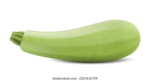 Fresh zucchini isolated on background. Squash whole. Fresh vegetable marrow isolated. Oblong, green squash. Vegetable marrow courgette or zucchini. Realistic 3d vector