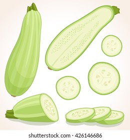 Fresh zucchini isolated on background. Vector illustration. Squash whole, half and sliced.