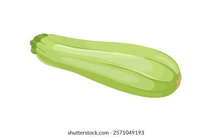 Fresh zucchini isolated on white background. Vegetable icon. Vector food cartoon flat illustration.