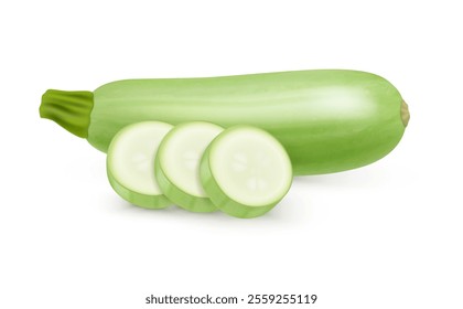 Fresh zucchini, isolated whole piece of squash. Vector realistic vegetable marrow with slices cut. Oblong courgette for cooking and preparing meals, tasty organic and natural ingredient for vegans