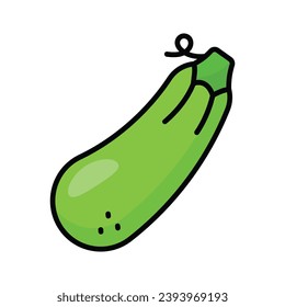 Fresh zucchini vector isolated on white background, Vegetable marrow courgette or zucchini, Harvest courgette organic ingredient