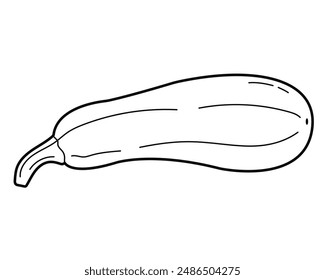 Fresh zucchini. Vector vegetable, vegetarian food. Simple outline illustration, isolated on white background. Design element