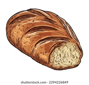 Freshly baked baguette, a gourmet French meal isolated